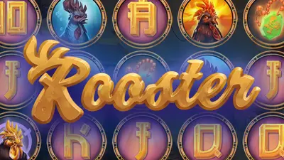 rooster